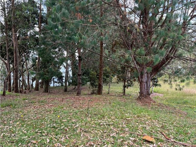 Lote en venta en Santa Elena, El Retiro, 10172 m² · foto 15 de 17