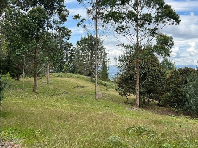 Lote en venta en Santa Elena, El Retiro, 10172 m² · foto 17 de 17