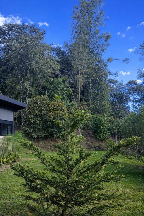 Casa de 3 alcobas en venta en Santa Elena, El Retiro, 2000 m² · foto 5 de 19