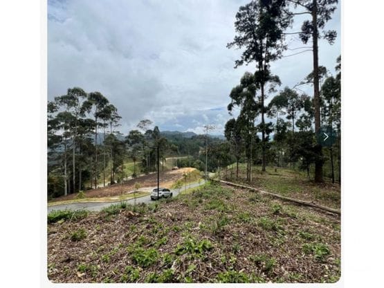 Lote en venta en Santa Elena, El Retiro, 2472 m² · foto 6 de 6