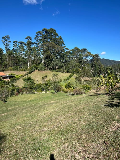 Lote en venta en Santa Elena, El Retiro, 2600 m² · foto 5 de 16
