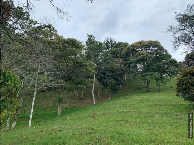 Lote en venta en Santa Elena, El Retiro, 4674 m² · foto 5 de 8