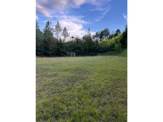 Land in Santa Elena (3724 m²) for Sale - 3