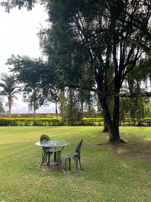 Lote en venta en Llano Grande, Rionegro, 30837 m² · foto 2 de 19