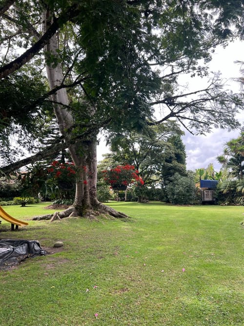 Lote en venta en Llano Grande, Rionegro, 30837 m² · foto 6 de 19