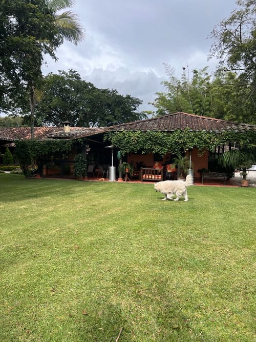 Lote en venta en Llano Grande, Rionegro, 30837 m² · foto 7 de 19