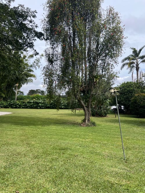 Lote en venta en Llano Grande, Rionegro, 30837 m² · foto 8 de 19