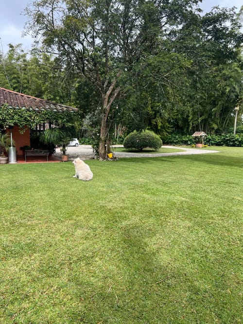 Lote en venta en Llano Grande, Rionegro, 30837 m² · foto 9 de 19