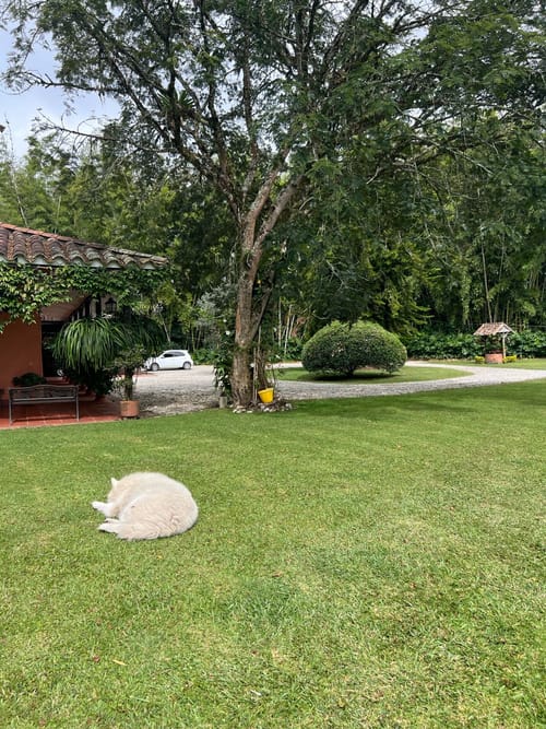 Lote en venta en Llano Grande, Rionegro, 30837 m² · foto 10 de 19