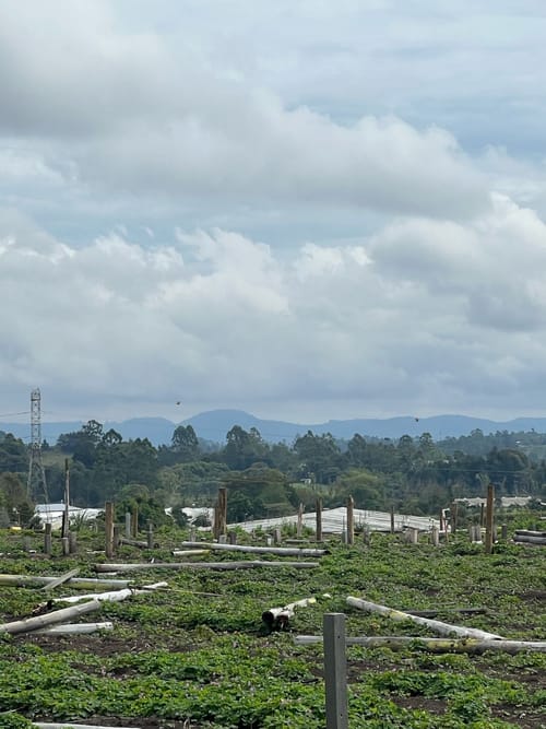 Lote en venta en Llano Grande, Rionegro, 30837 m² · foto 11 de 19