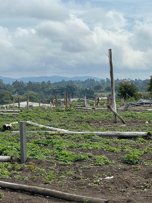 Lote en venta en Llano Grande, Rionegro, 30837 m² · foto 12 de 19