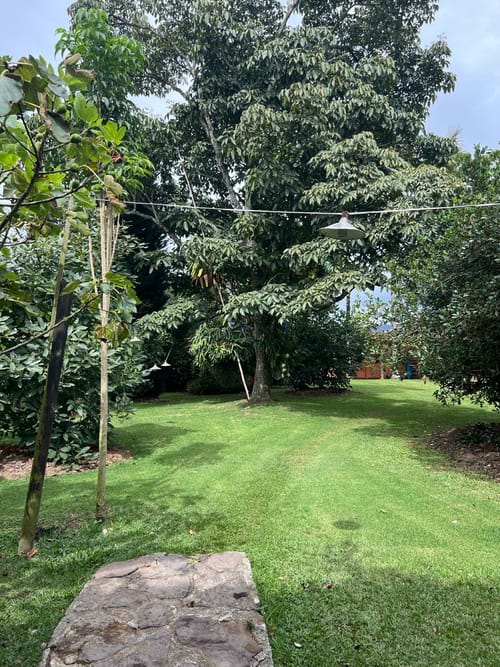 Lote en venta en Llano Grande, Rionegro, 30837 m² · foto 14 de 19