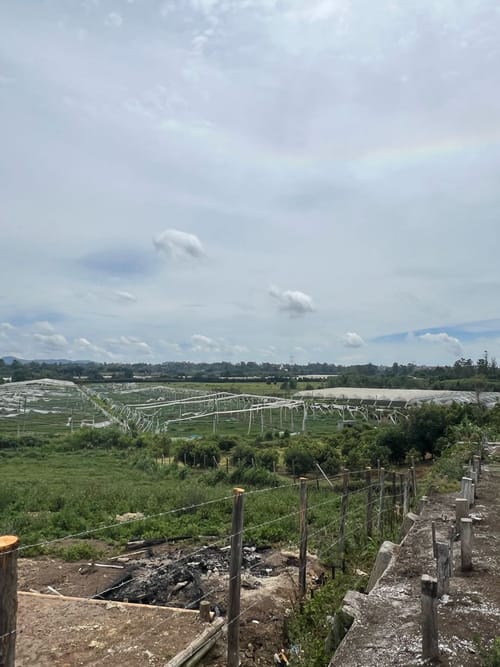Lote en venta en Llano Grande, Rionegro, 30837 m² · foto 16 de 19