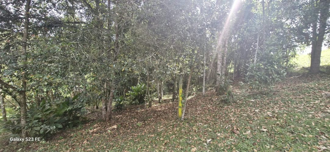 Lote en venta en El Porvenir, Rionegro, 5000 m² · foto 2 de 11