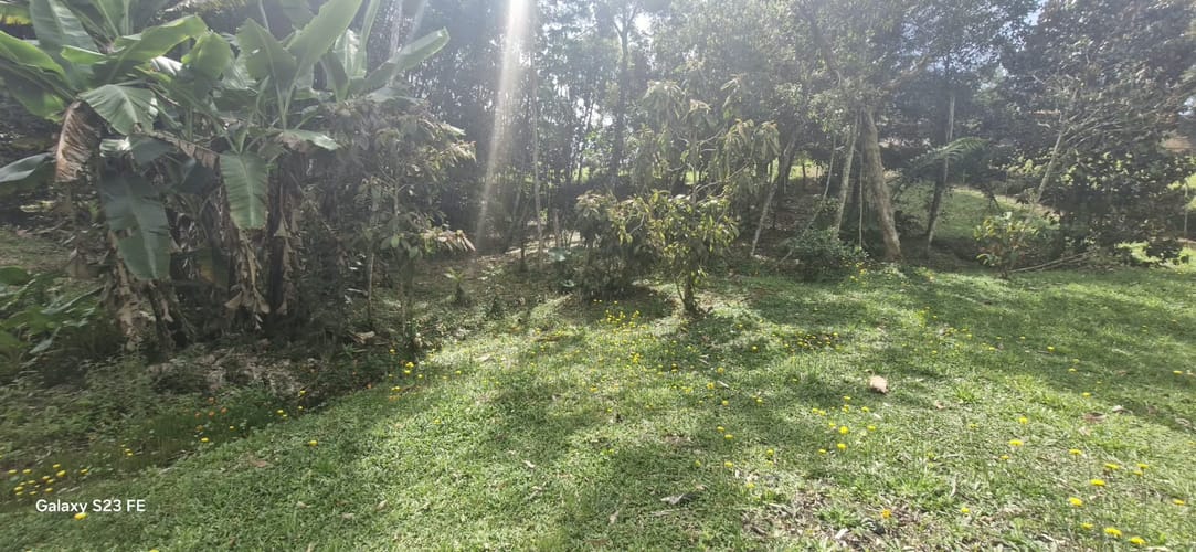 Lote en venta en El Porvenir, Rionegro, 5000 m² · foto 3 de 11