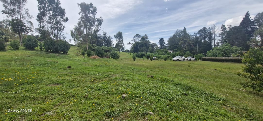 Lote en venta en El Porvenir, Rionegro, 5000 m² · foto 4 de 11