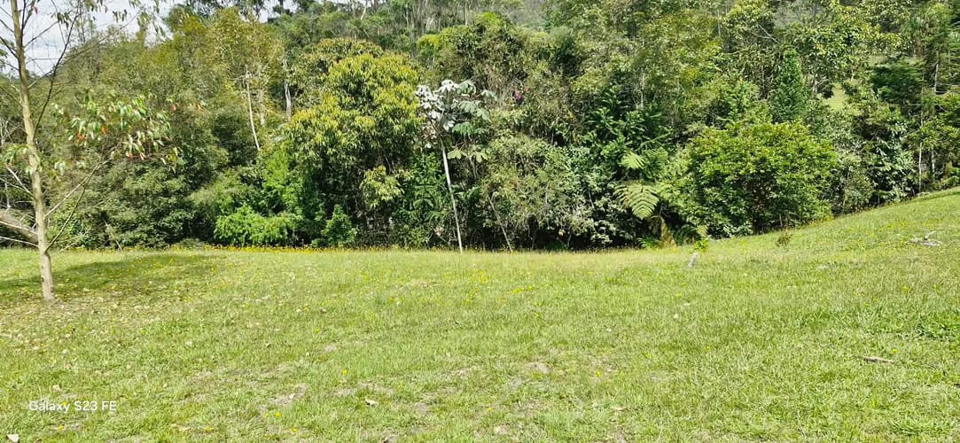 Lote en venta en El Porvenir, Rionegro, 5000 m² · foto 5 de 11
