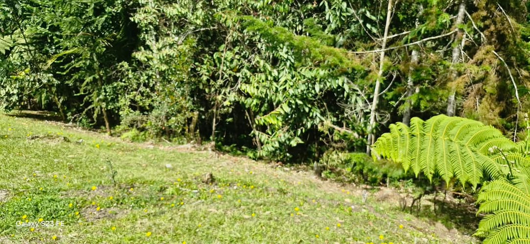 Lote en venta en El Porvenir, Rionegro, 5000 m² · foto 6 de 11