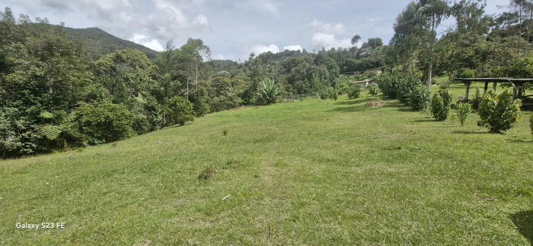 Lote en venta en El Porvenir, Rionegro, 5000 m² · foto 8 de 11
