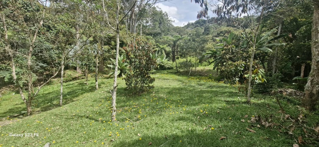Lote en venta en El Porvenir, Rionegro, 5000 m² · foto 10 de 11