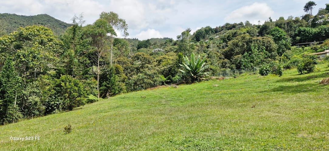 Lote en venta en El Porvenir, Rionegro, 5000 m² · foto 11 de 11