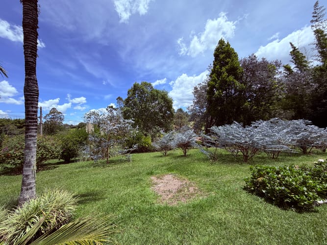 Finca en venta en Sajonia, Rionegro, 267 m² · foto 9 de 22