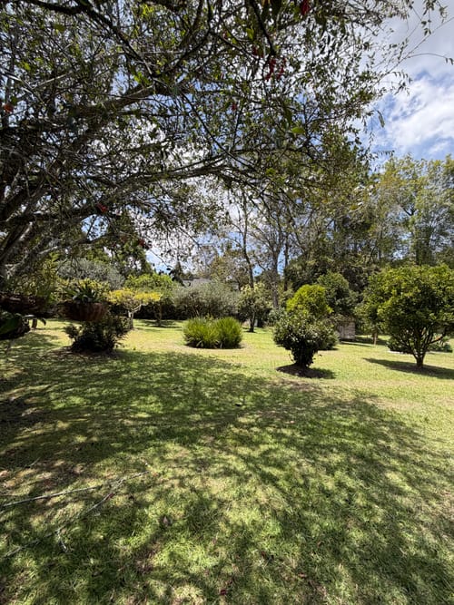 Finca en venta en Sajonia, Rionegro, 267 m² · foto 10 de 22