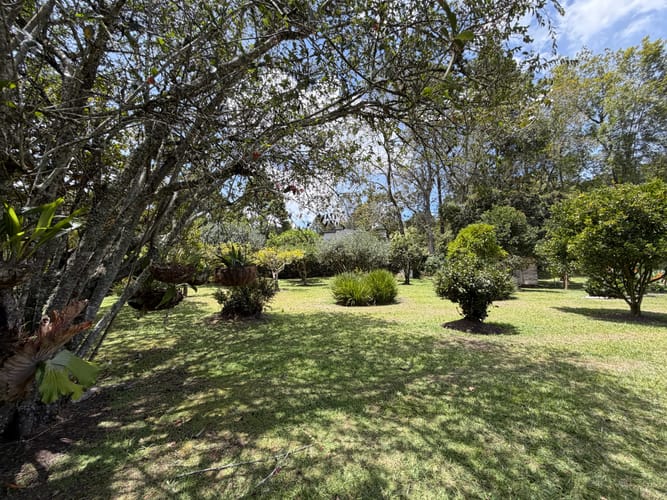 Finca en venta en Sajonia, Rionegro, 267 m² · foto 11 de 22