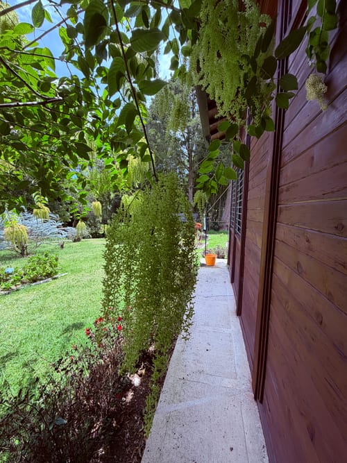 Finca en venta en Sajonia, Rionegro, 267 m² · foto 17 de 22