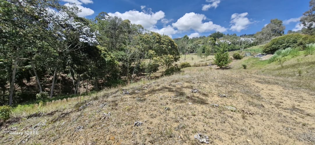 Lote en venta en El Porvenir, Rionegro, 3784 m² · foto 3 de 20