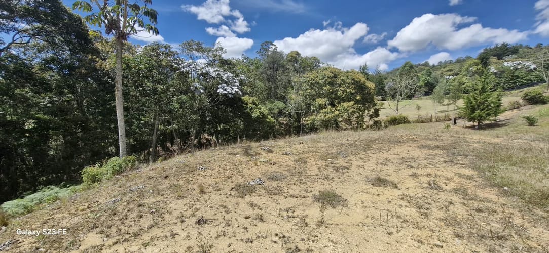 Lote en venta en El Porvenir, Rionegro, 3784 m² · foto 4 de 20