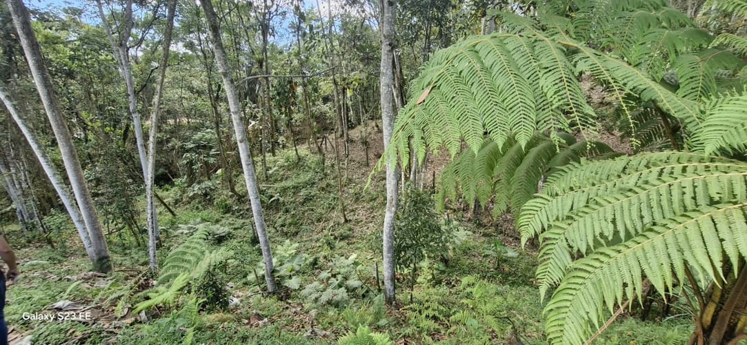 Lote en venta en El Porvenir, Rionegro, 3784 m² · foto 5 de 20