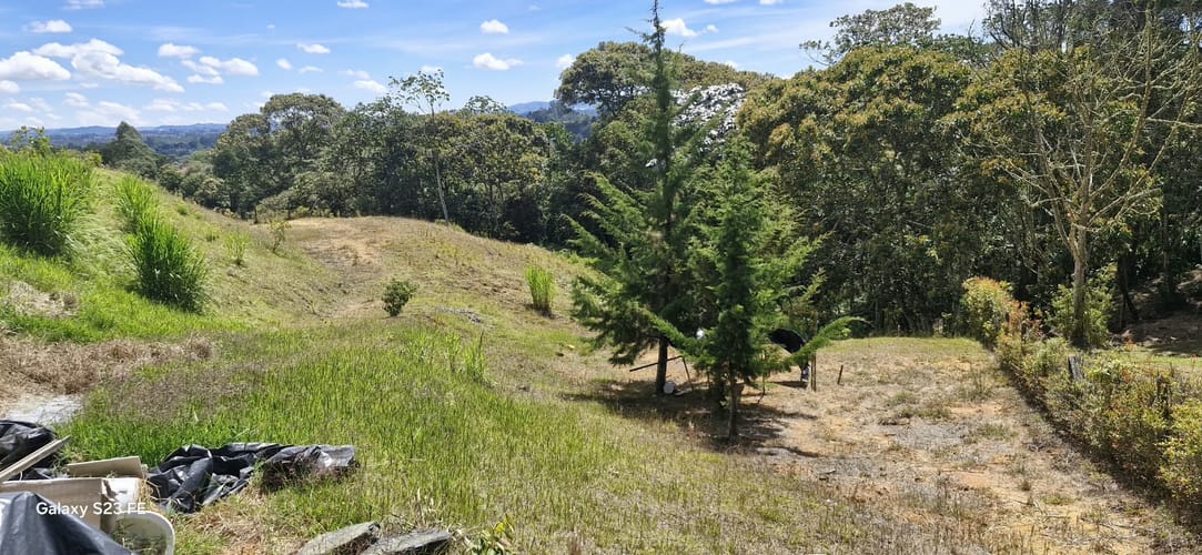 Lote en venta en El Porvenir, Rionegro, 3784 m² · foto 6 de 20