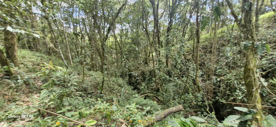 Lote en venta en El Porvenir, Rionegro, 3784 m² · foto 8 de 20