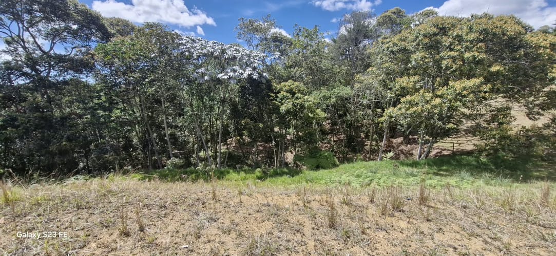 Lote en venta en El Porvenir, Rionegro, 3784 m² · foto 9 de 20