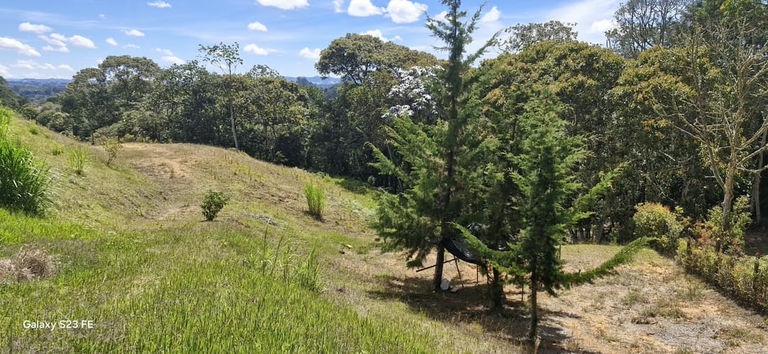 Lote en venta en El Porvenir, Rionegro, 3784 m² · foto 10 de 20