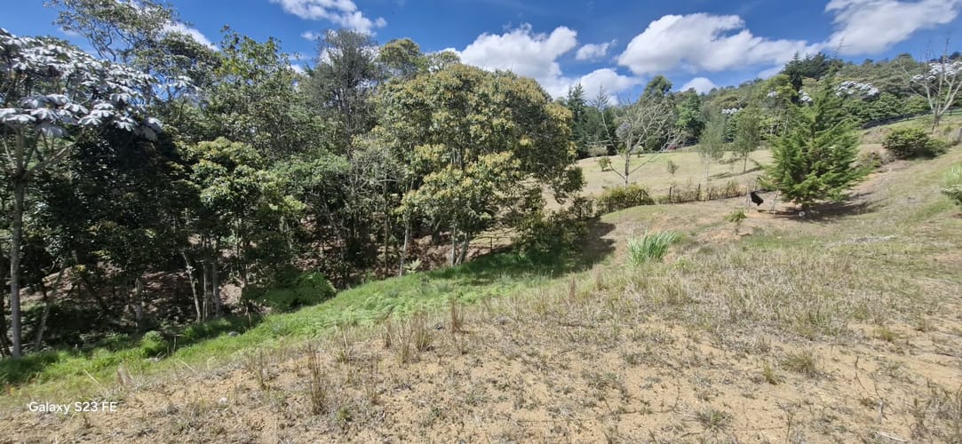 Lote en venta en El Porvenir, Rionegro, 3784 m² · foto 14 de 20