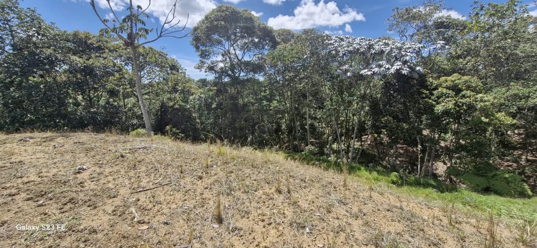 Lote en venta en El Porvenir, Rionegro, 3784 m² · foto 15 de 20