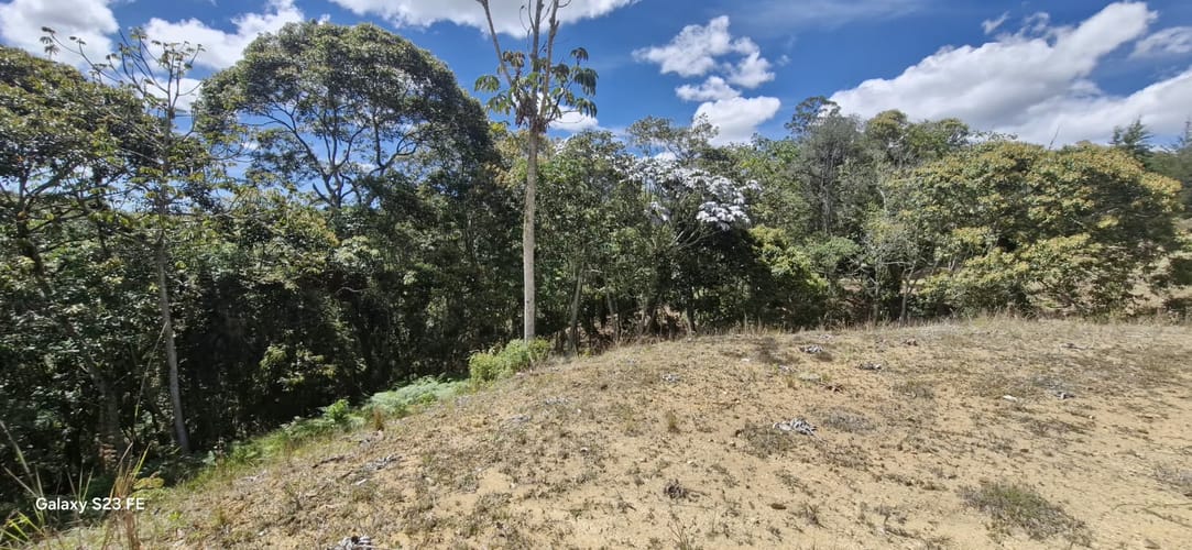 Lote en venta en El Porvenir, Rionegro, 3784 m² · foto 16 de 20