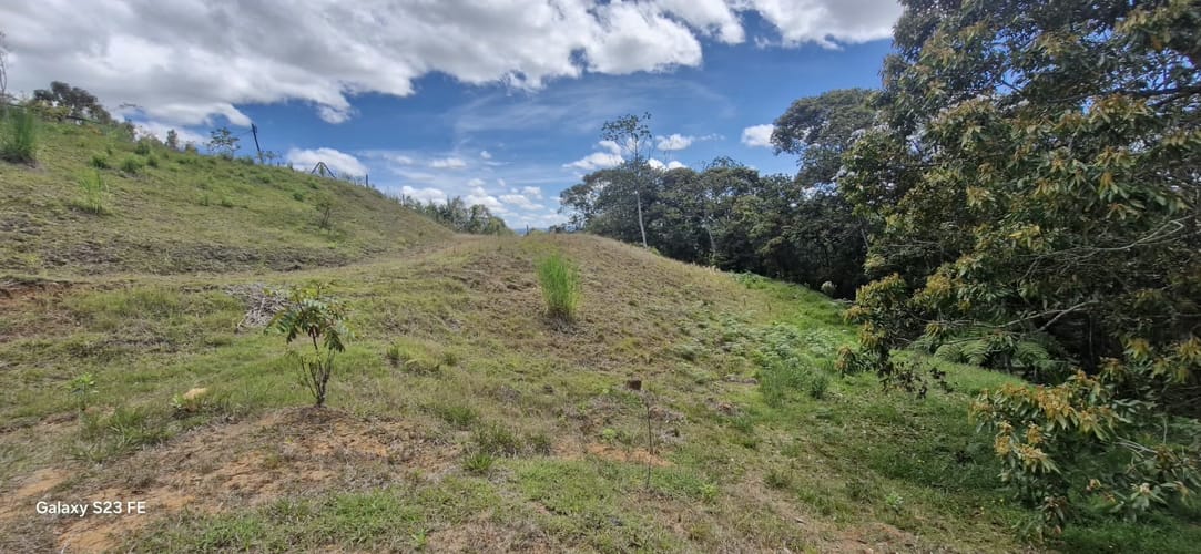Lote en venta en El Porvenir, Rionegro, 3784 m² · foto 18 de 20