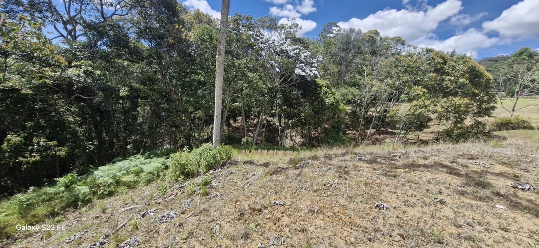 Lote en venta en El Porvenir, Rionegro, 3784 m² · foto 19 de 20