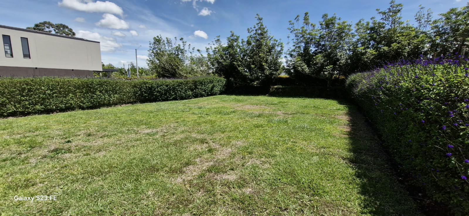 Land in El porvenir (133 m²) for Sale