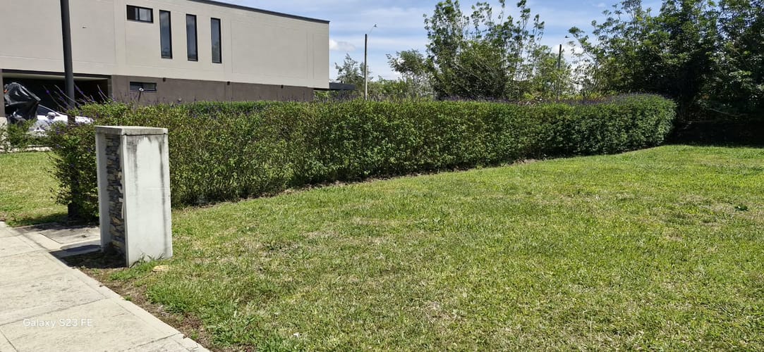 Lote en venta en El Porvenir, Rionegro, 133 m² · foto 8 de 9