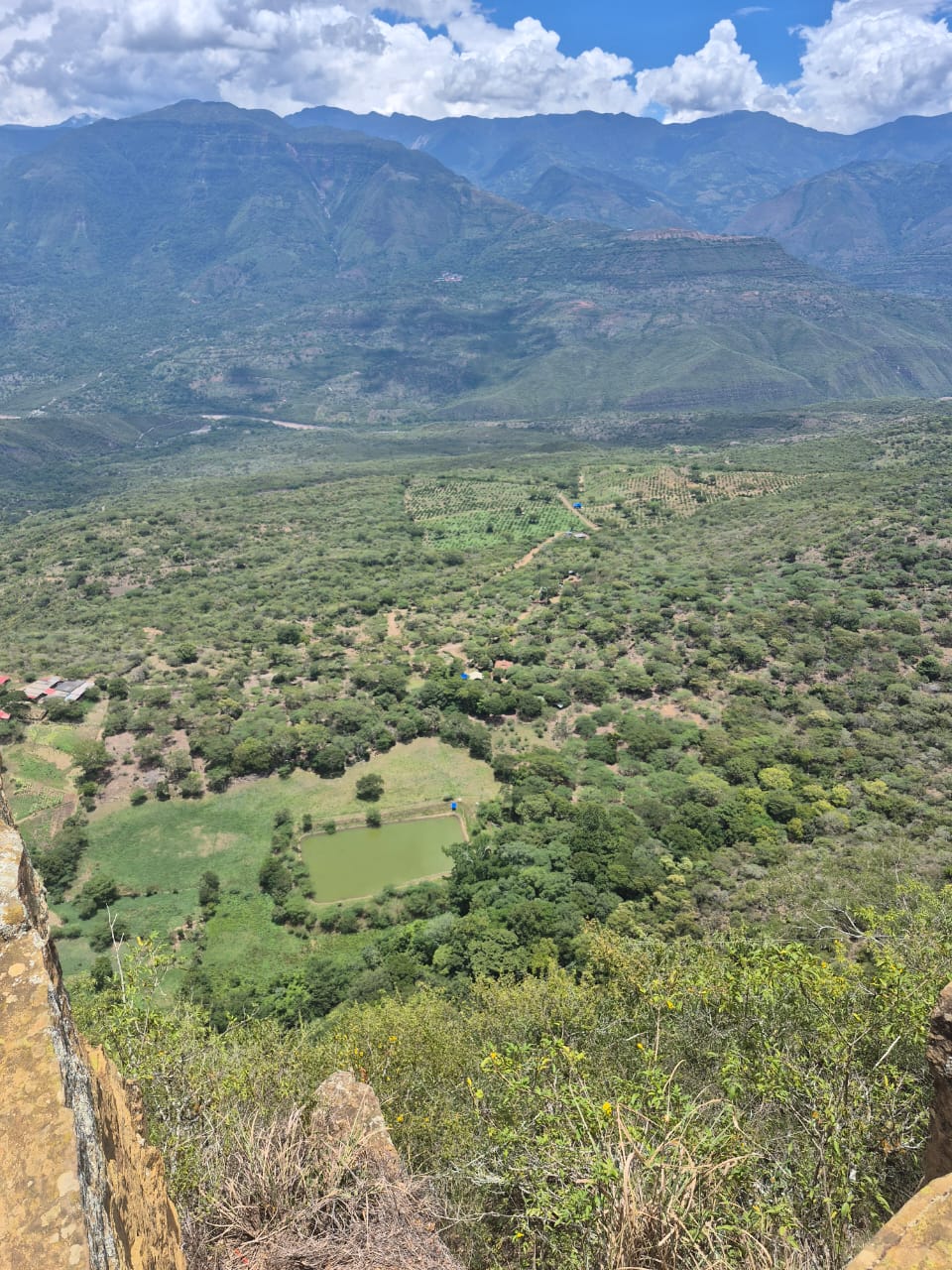 Land in Santafe de antioquia (4570 m²) for Sale
