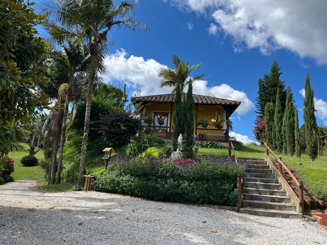 Finca en venta en El Carmen De Viboral, El Carmen de Viboral, 264 m² · foto 3 de 24