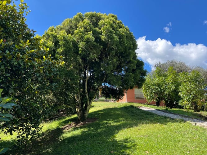 Finca en venta en El Carmen De Viboral, El Carmen de Viboral, 264 m² · foto 20 de 24