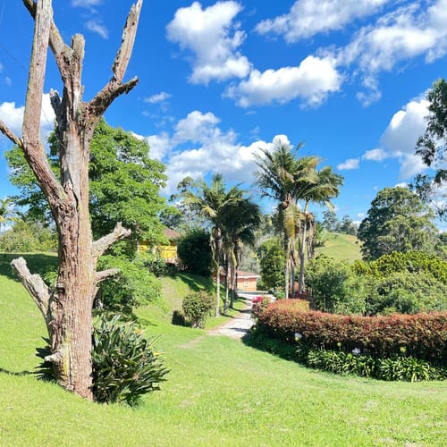 Finca en venta en El Carmen De Viboral, El Carmen de Viboral, 264 m² · foto 23 de 24