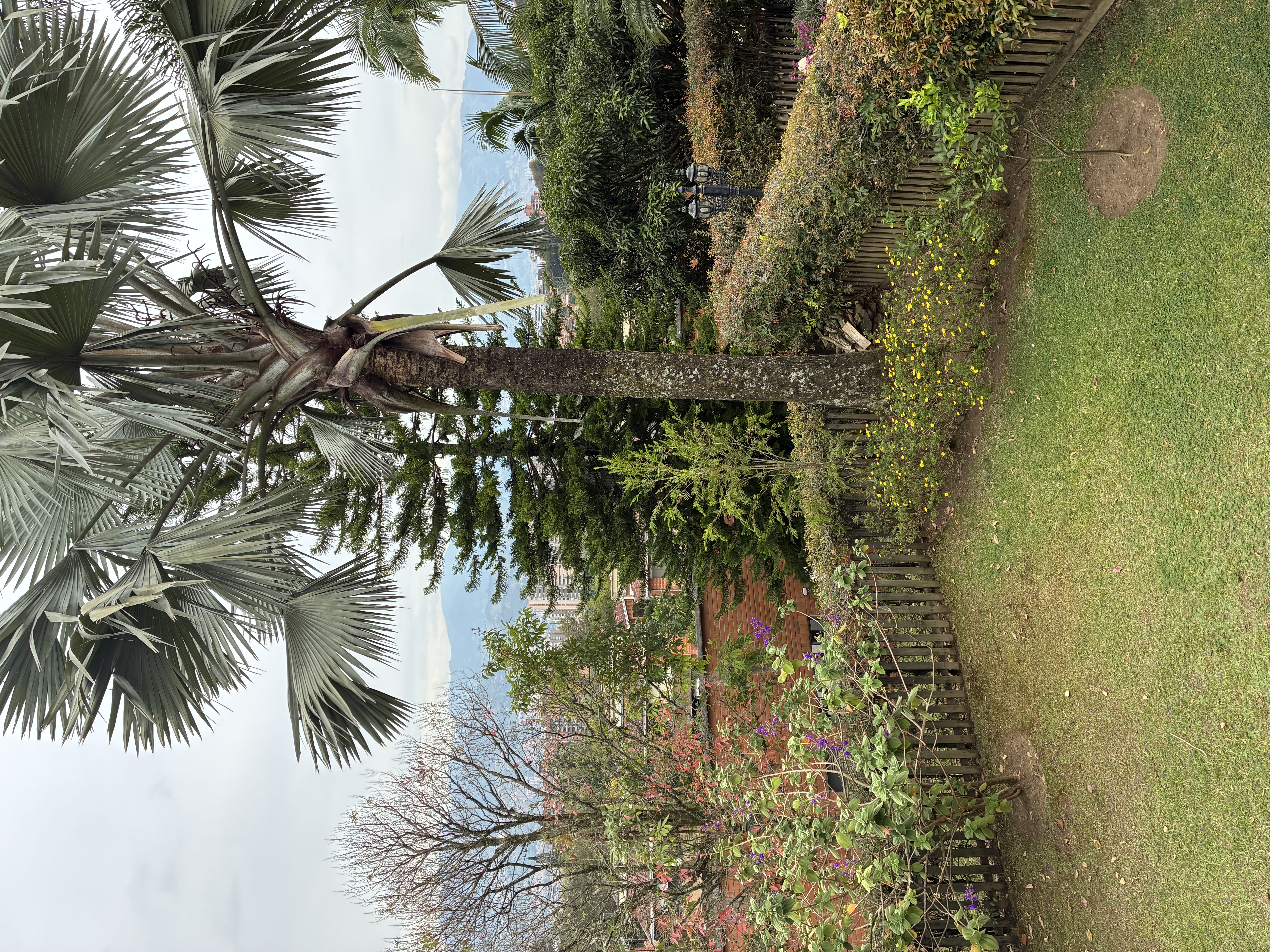 4BR House in Los naranjos (250 m²) - 4