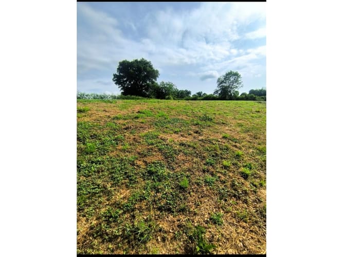 Lote en venta en Cerritos, Pereira, 8000 m² · foto 4 de 6