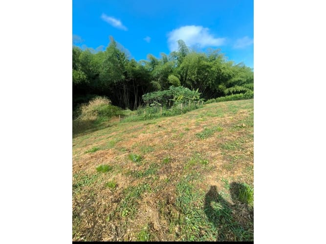 Lote en venta en Cerritos, Pereira, 8000 m² · foto 6 de 6